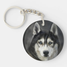 Husky Hund Stor Hund Djur Husdjur