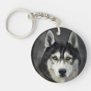 Husky Hund Stor Hund Djur Husdjur