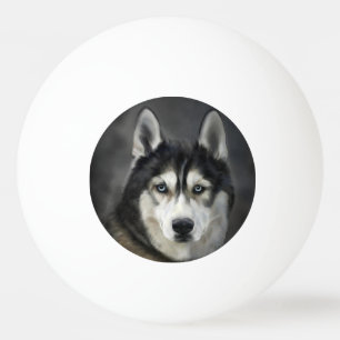 Husky Hund Stor Hund Djur Husdjur Pingisboll