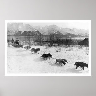 Husky Hund Team Alaska 1918 Poster