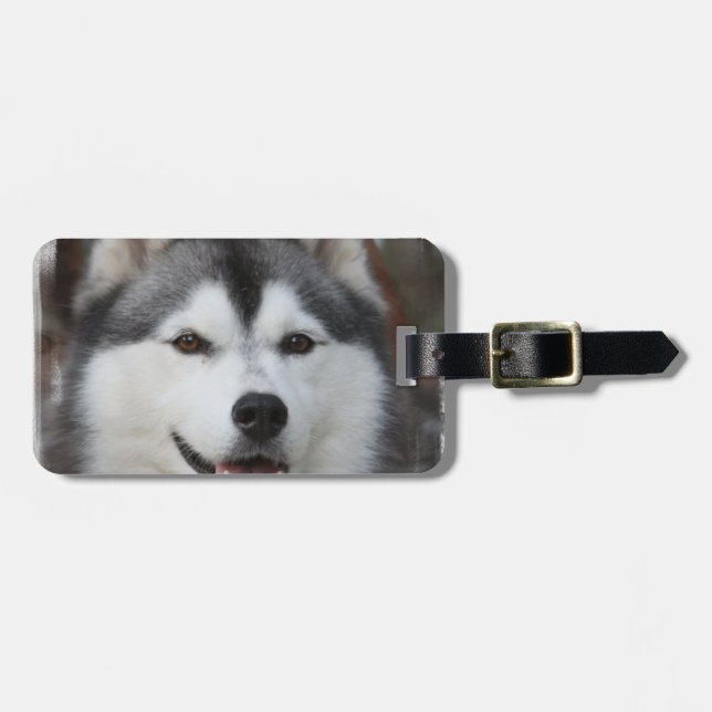 Husky hundbagagemärkre bagagebricka (Horisontell Framsida)