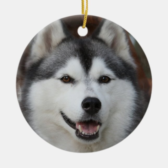 Husky hundprydnad julgransprydnad keramik (Framsidan)