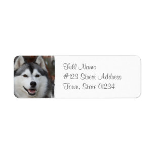 Husky hundreturadressetikett returadress etikett