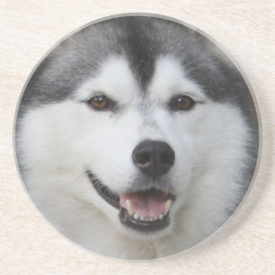 Husky hundunderlägg underlägg