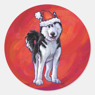 Husky i Santa Hat On Red Runt Klistermärke