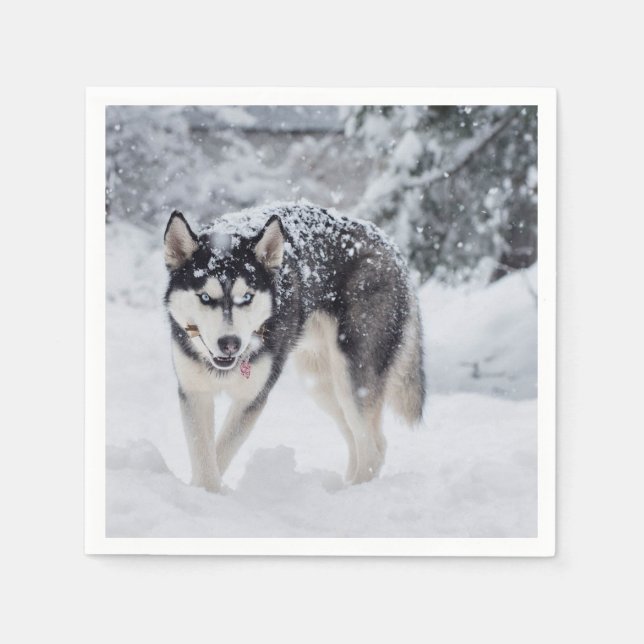 Husky i snö pappersservett (Framsidan)