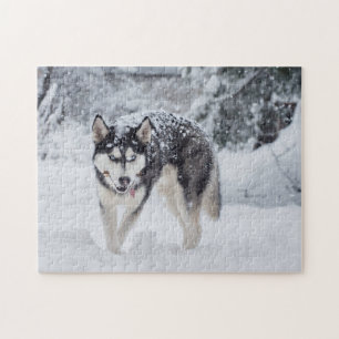 Husky i snön pussel