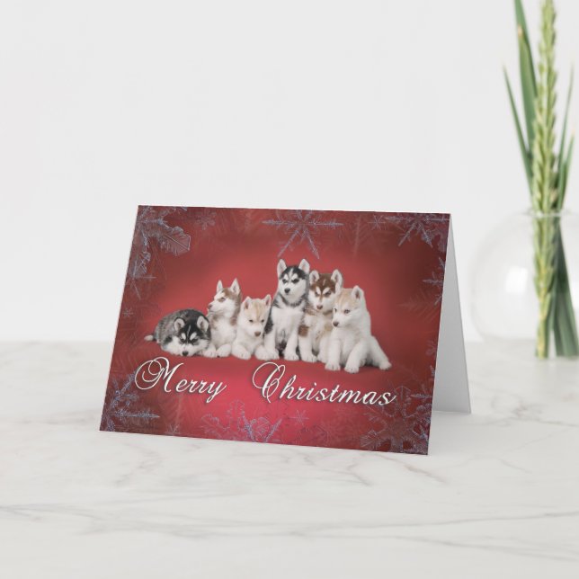Husky jul helgkort (Framsida)