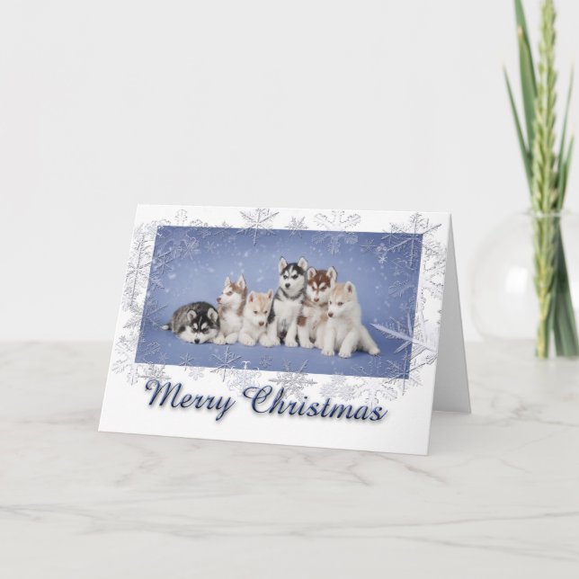 Husky jul helgkort (Framsida)