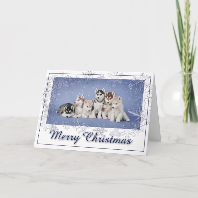 Husky jul helgkort (Framsida)