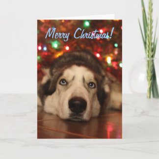 Husky julhälsningkort helgkort