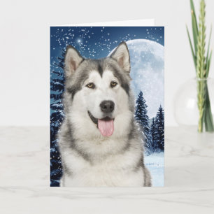Husky-julkort Helgkort