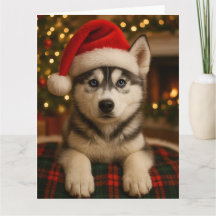 Husky julkort