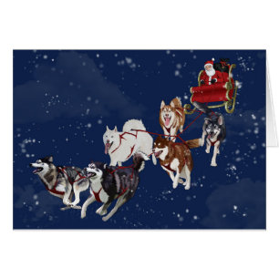 Husky julkort som drar Santas Sleigh Hälsningskort