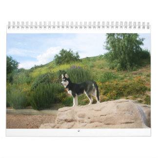 Husky kalender 2011