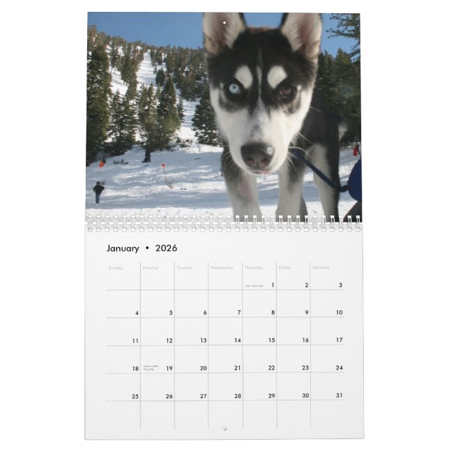 Husky kalender 2011 (Jan 2026)