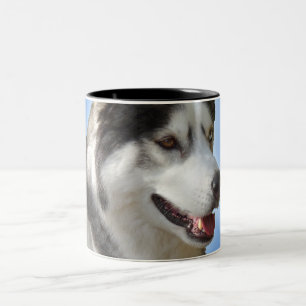 Husky kopp för siberian husky för coola för