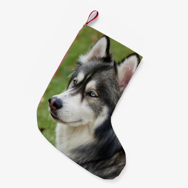 Husky Liten Julstrumpa (Framsidan (Hängande))