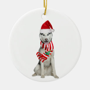 Husky med Hat Scaft jul Julgransprydnad Keramik