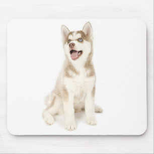 Husky Mousepad Musmatta