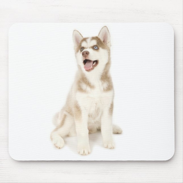 Husky Mousepad Musmatta (Framsidan)