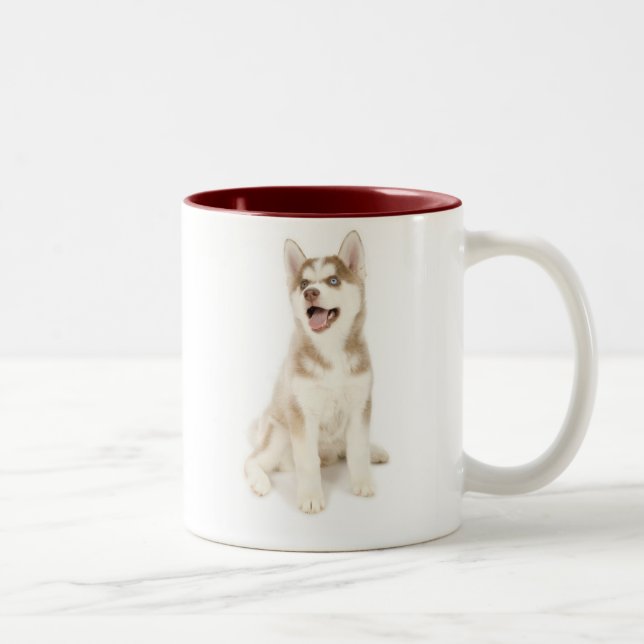 Husky mugg (Höger)