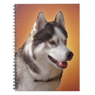 Husky Notebook Siberian husky Gifts & Bokar Anteckningsbok Med Spiral