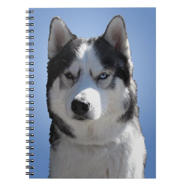 Husky Notebook Siberian husky Journal Sleddog Bok Anteckningsbok (Framsidan)