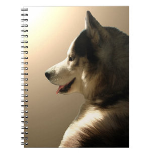 Husky Notebook Siberian husky Valp Journal Bok Anteckningsbok Med Spiral