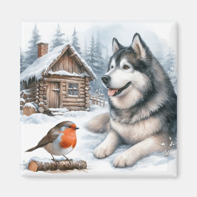 Husky och robin i snö magnet, snö hund magnet (Framsidan)