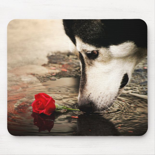 Husky- och röd rosfotografi Mousepad Musmatta (Framsidan)