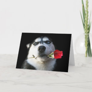 Husky och rosa valentin-/Tangohund Helgkort