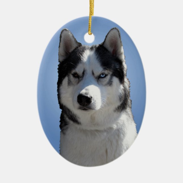 Husky Ornament Malamute Keepsaké Hund Gifts (Framsidan)