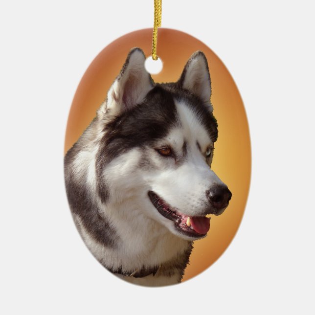 Husky Ornament Personlig Sled Hund Dekoration (Framsidan)