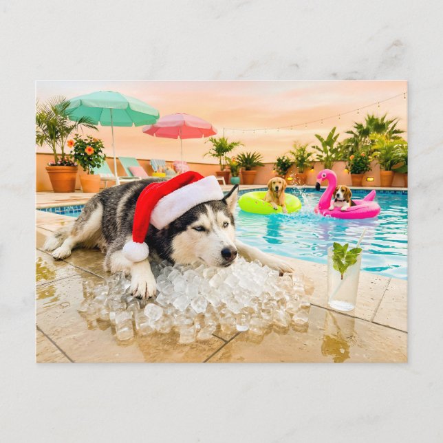 Husky på klipporna jul vykort (Framsida)