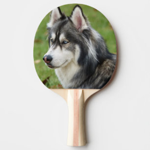 Husky Pingisracket