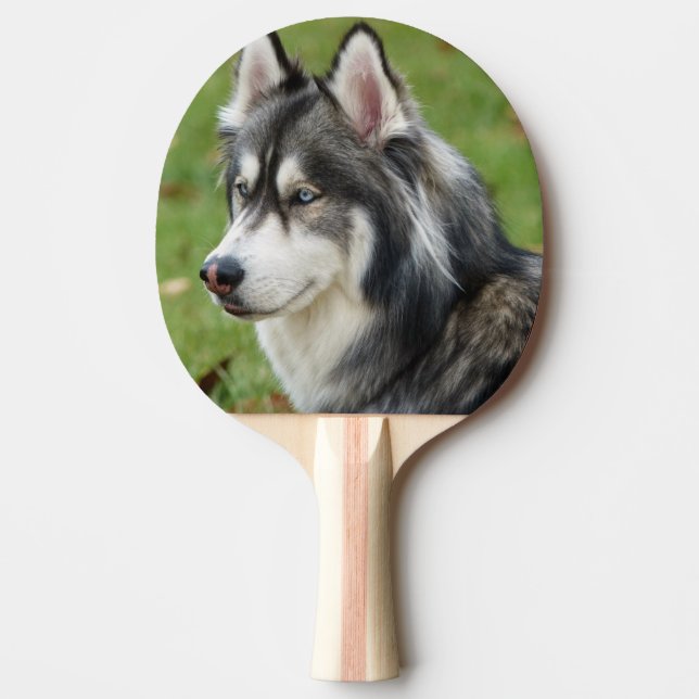 Husky Pingisracket (Framsidan)