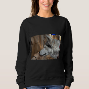 Husky Porträtt Premium T Shirt
