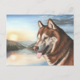 Husky Postcard Vykort