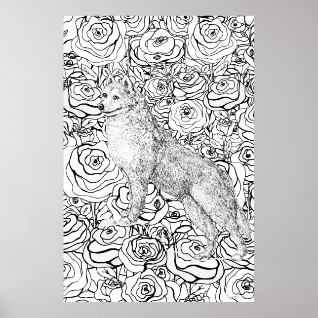 Husky Poster (Framsidan)