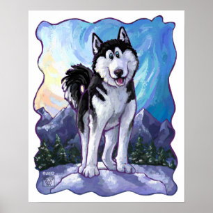 Husky-presenter och tillbehör poster