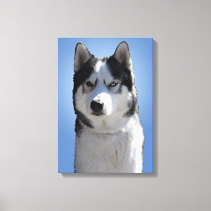 Husky Print Stretched Husky Malamute Hund Canvas