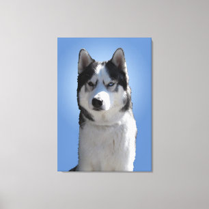 Husky Print Stretched Husky Malamute Hund Canvas
