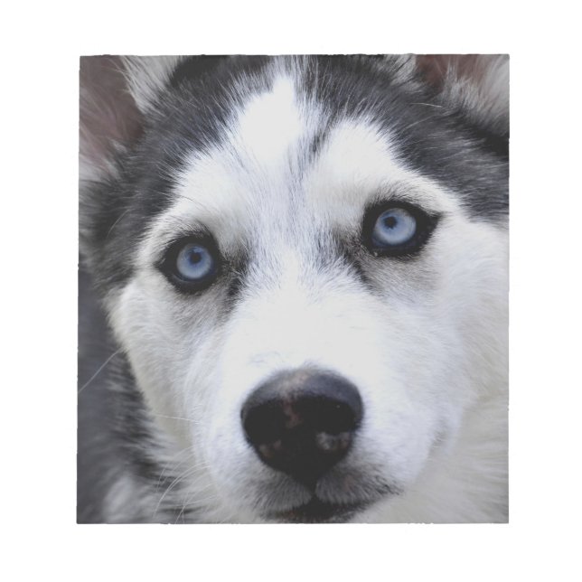 Husky Puppy Anteckningsblock (Framsida)