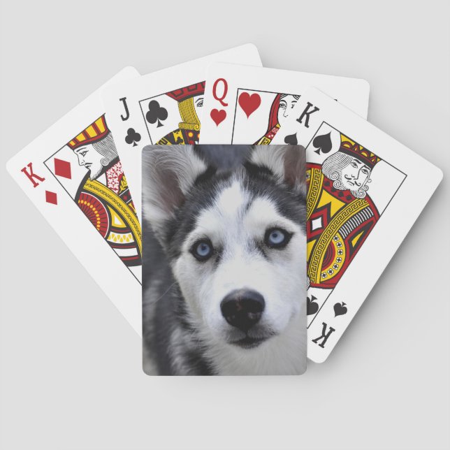 Husky Puppy Deck of Cards Spelkort (Baksidan)