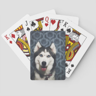 Husky Puppy Posy med Mörk Bakground Casinokort