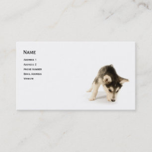 Husky Puppy-profilkort Visitkort