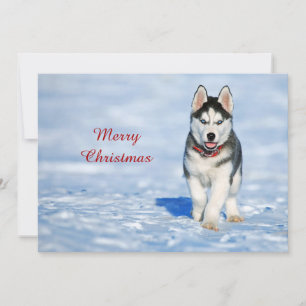 Husky Puppy Snö Photo jul Flat Julkort