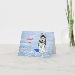 Husky Puppy Snö Photo Tack Kort