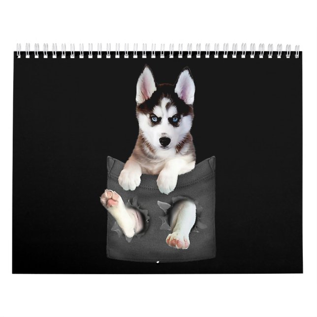 Husky| Siberian husky i docksäck Kalender (Omslag)